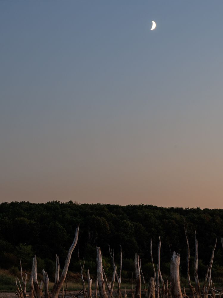 Photograph by Igor Maksimenko