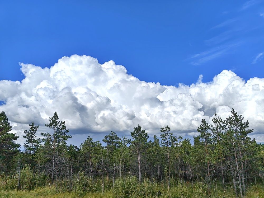 Фотография автора Оксана Шенина