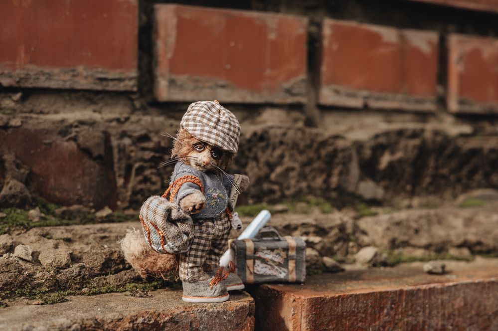 Фотография автора Елена Карпова