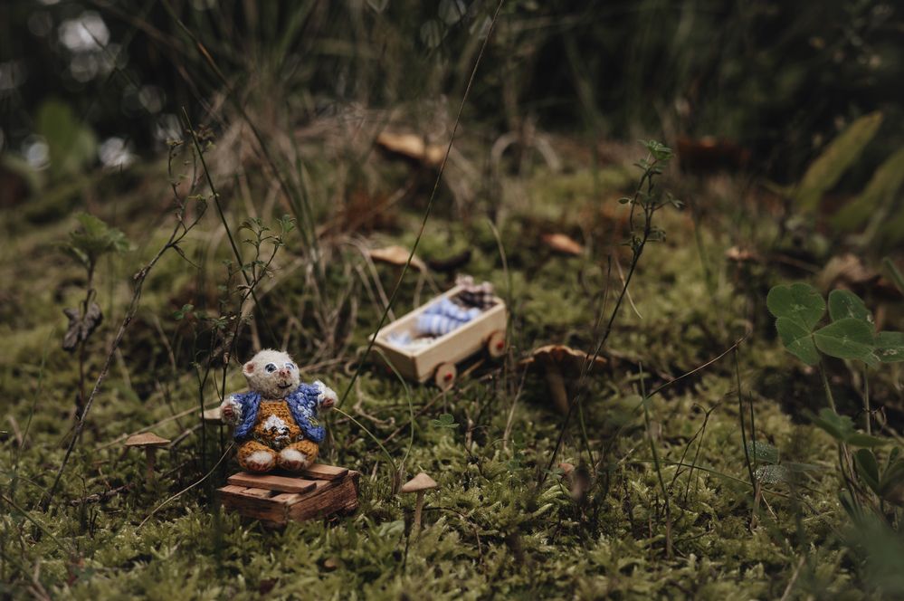 Photograph by Елена Карпова