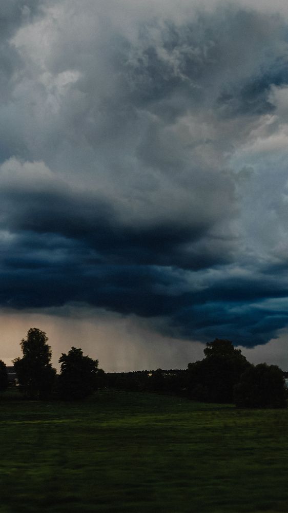 Photograph by Maria Stankevich