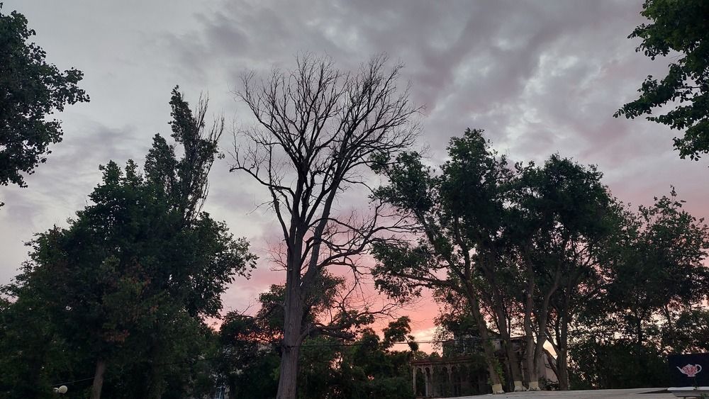 Фотография автора Анатолий Дячина