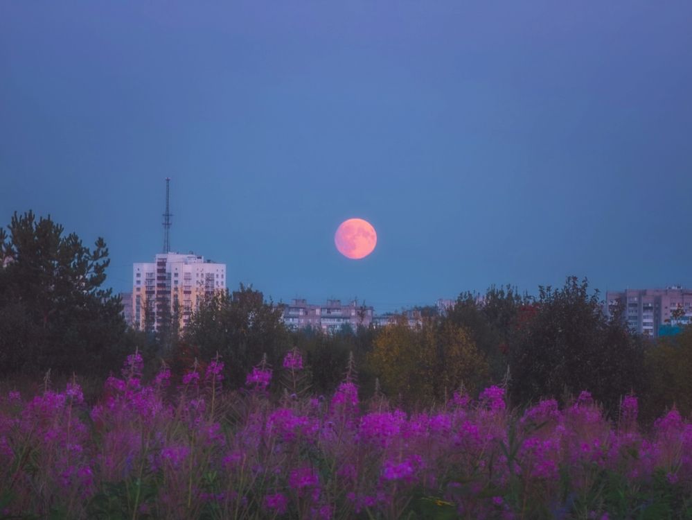 Photograph by Кирилл Сидоров