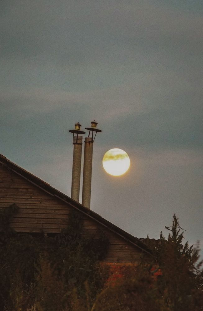 Фотография автора Анастасия Шафоростова