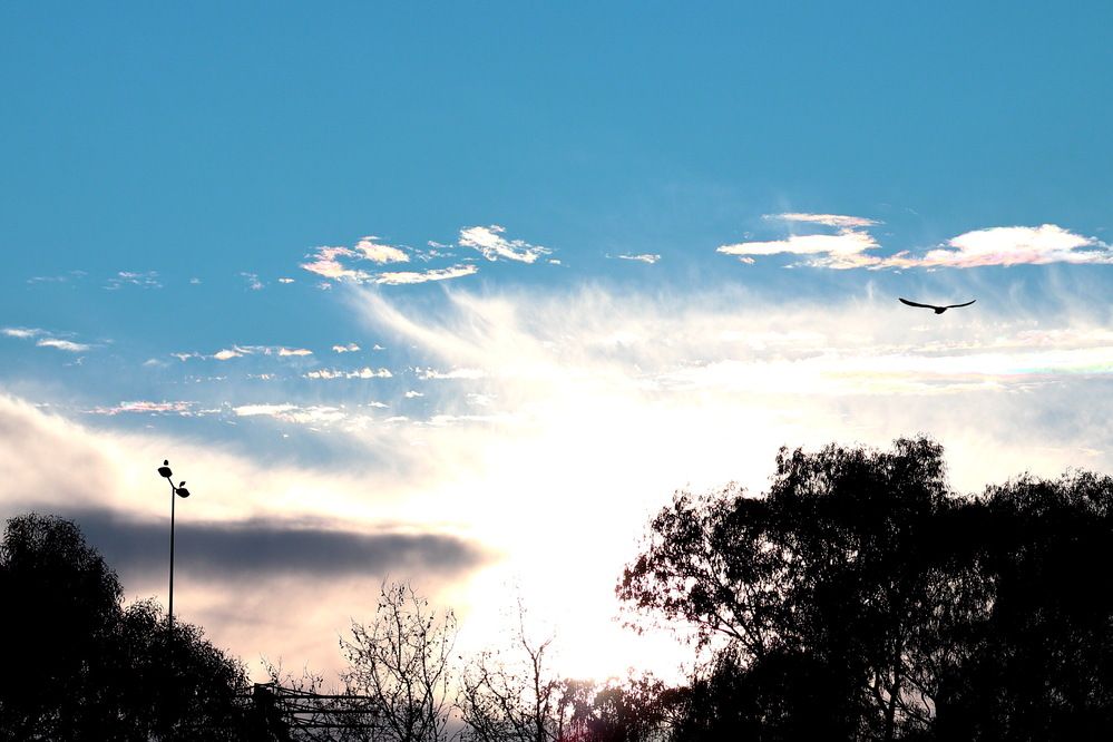 Photograph by João Patrício