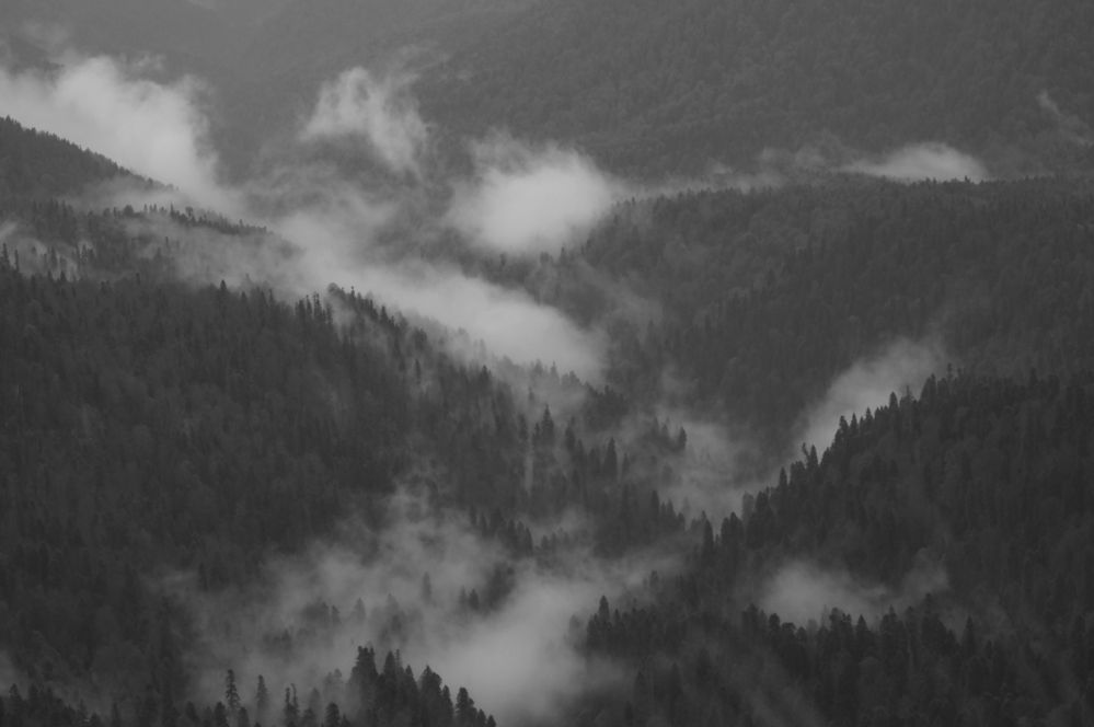 Фотография автора Татьяна Сергиенко