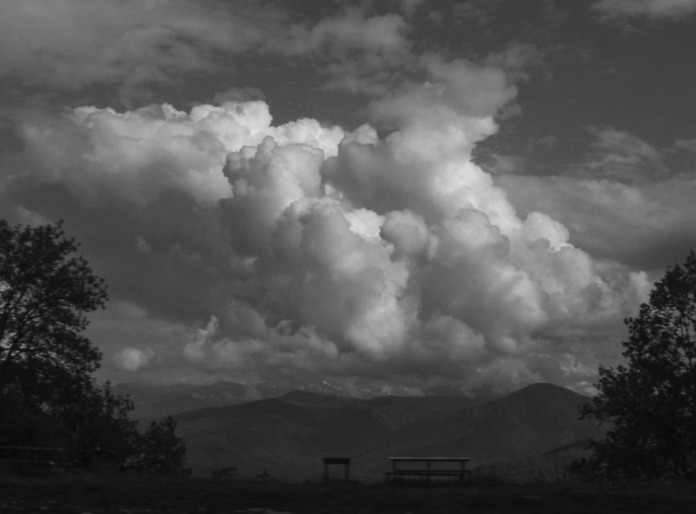 Фотография автора Татьяна Сергиенко