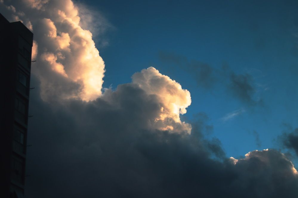 Photograph by João Patrício