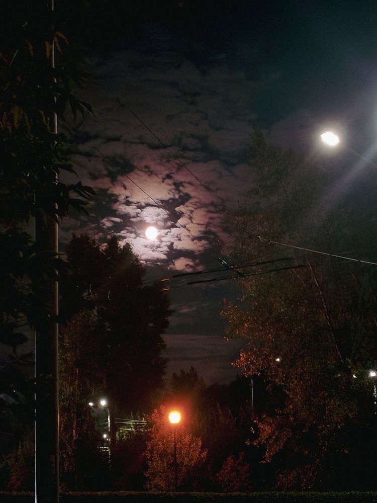 Photograph by Альбина