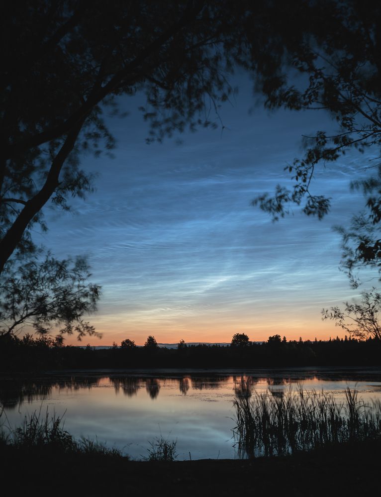 Noctilucent clouds