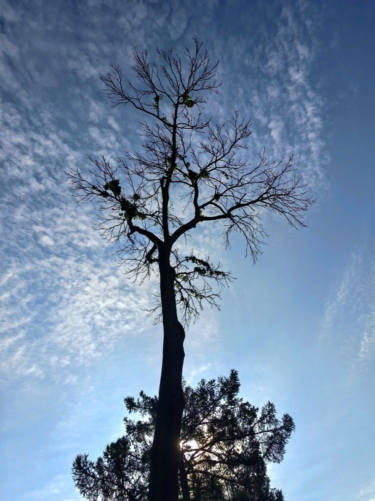 Photograph by Olga Kot