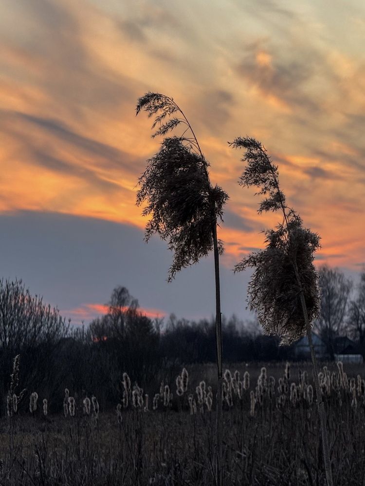 Фотография автора Анна Балабан