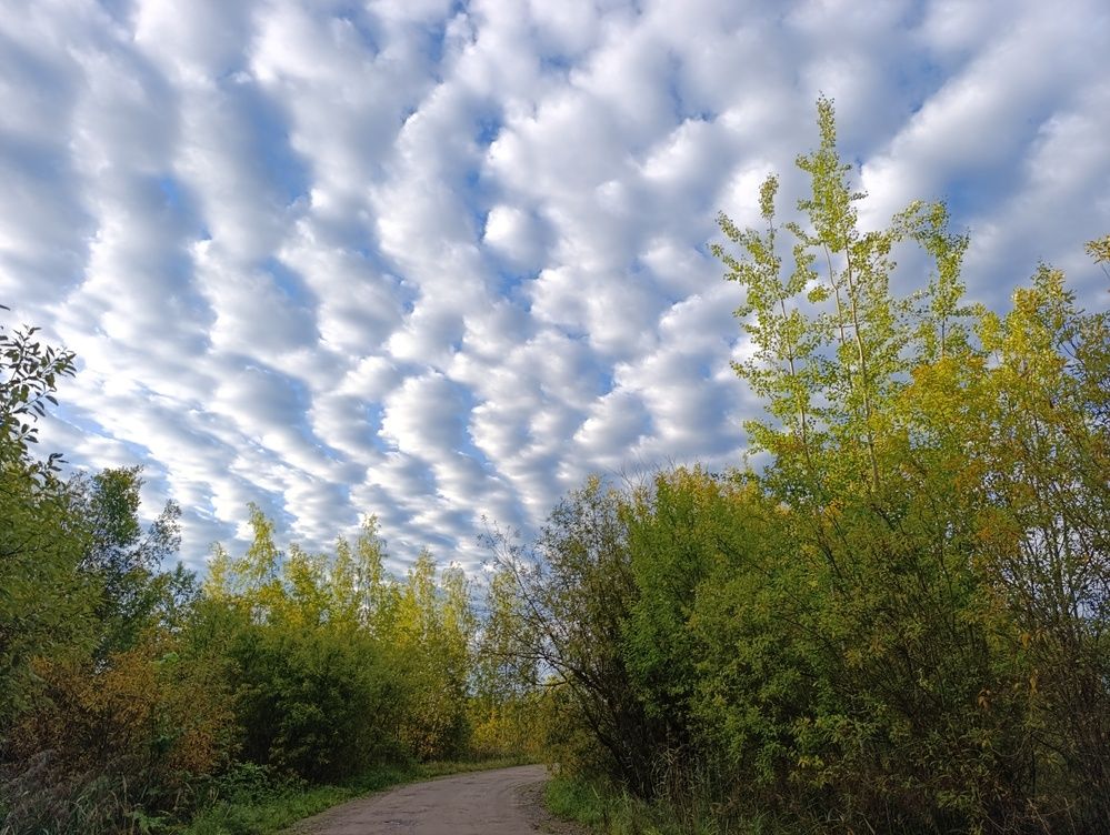 Photograph by Юлия Некрасова