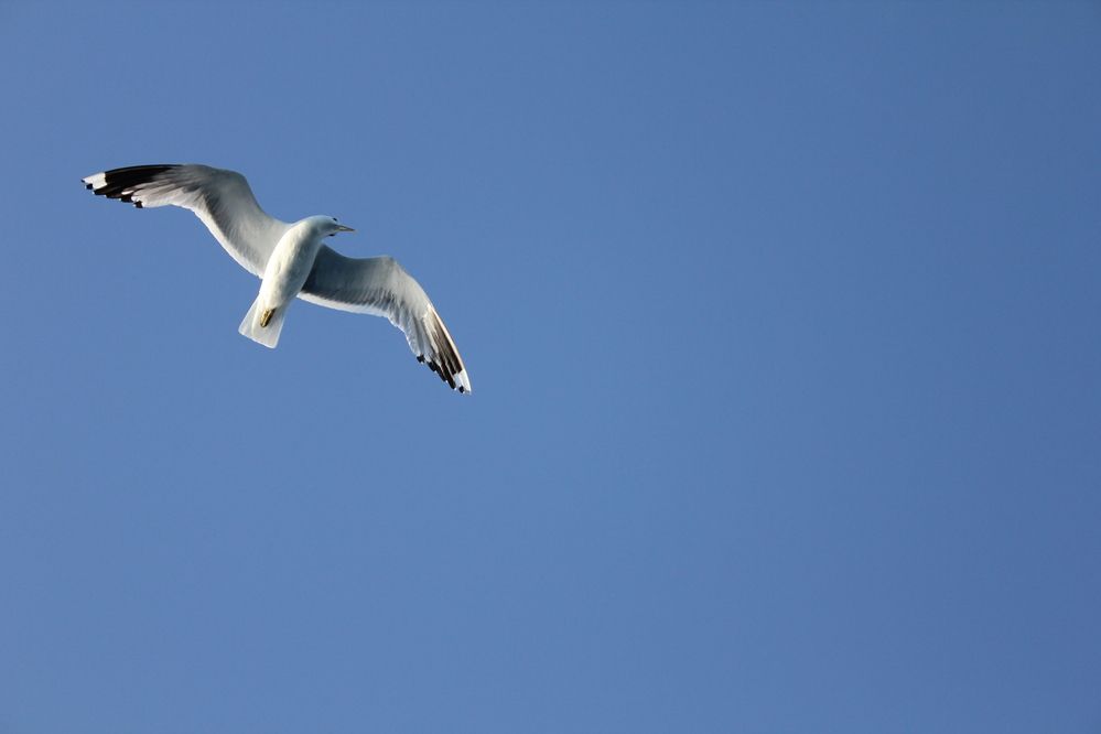 Фотография автора Наталья Визер