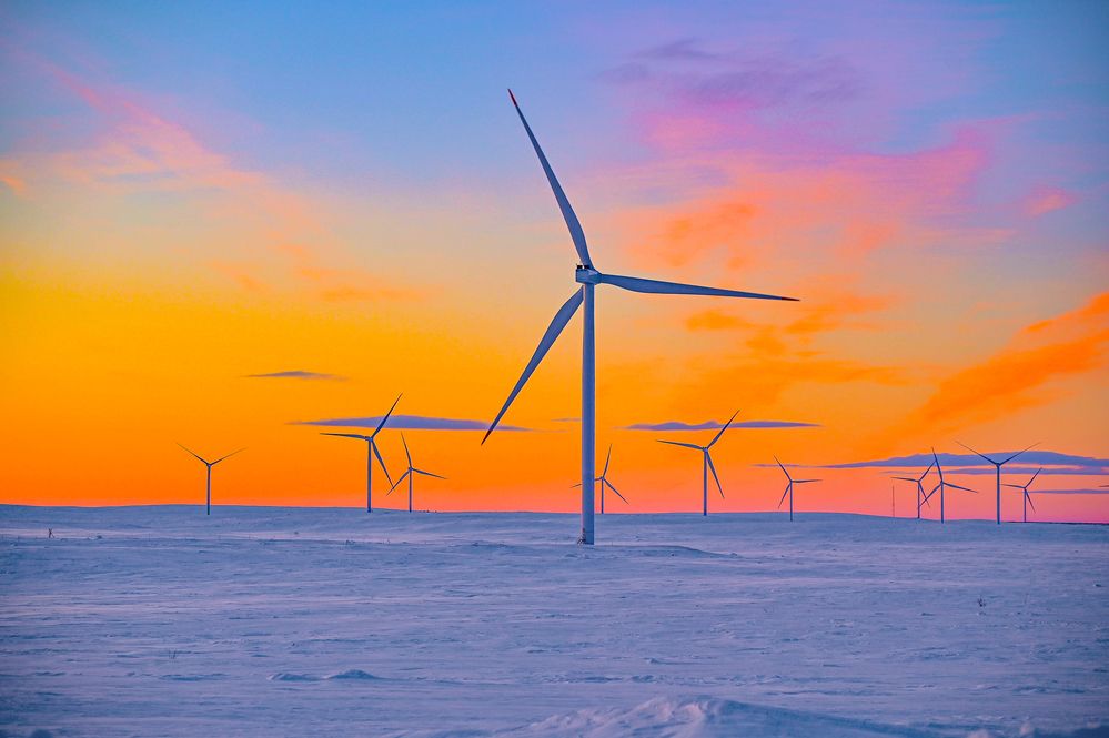 Photograph by Tanzilya Gabidullina