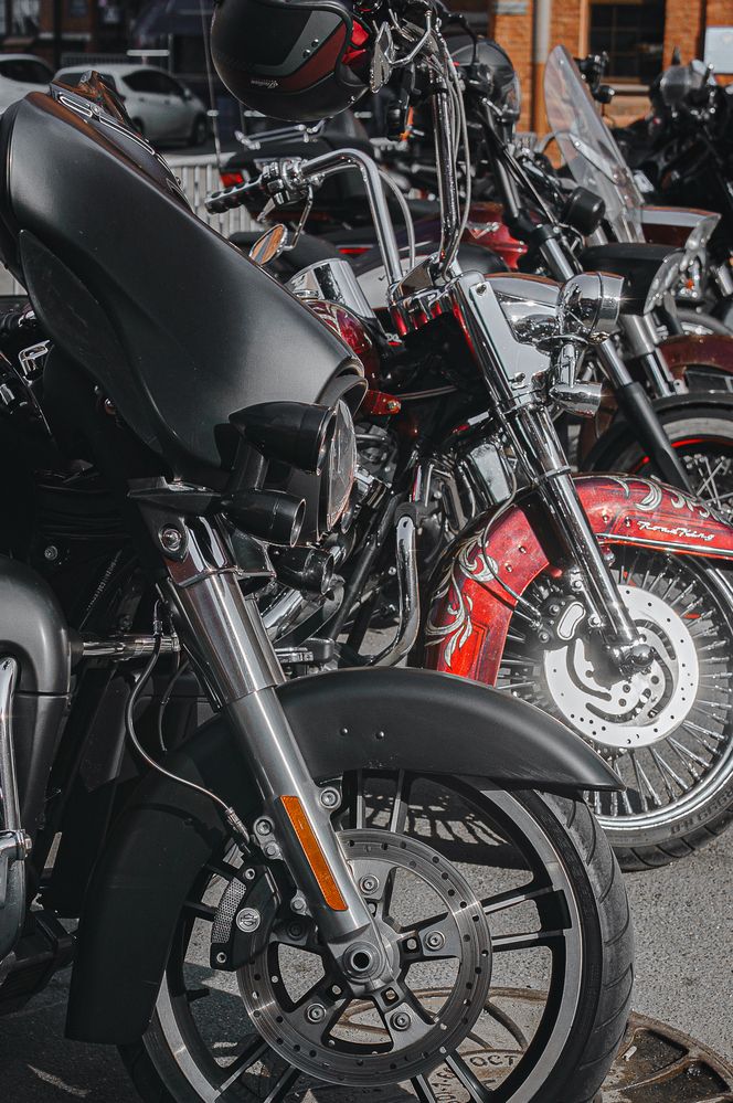 Фотография автора Рыбчинский Антон