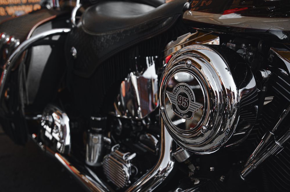 Фотография автора Рыбчинский Антон