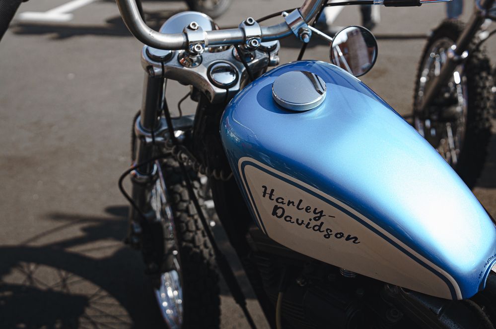 Фотография автора Рыбчинский Антон