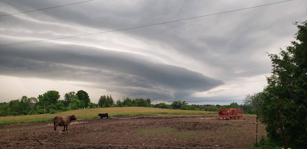 Photograph by Dennise Treijs