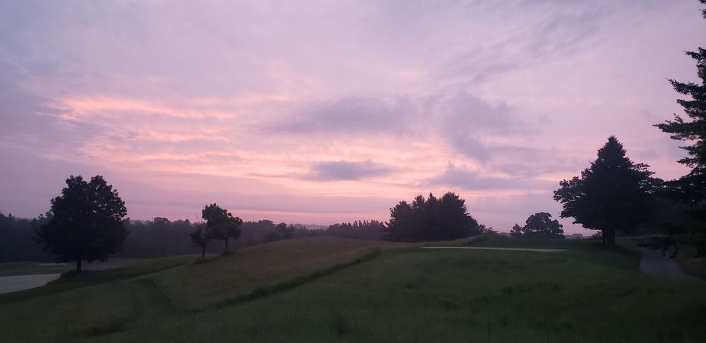 Photograph by Dennise Treijs