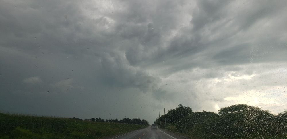 Photograph by Dennise Treijs