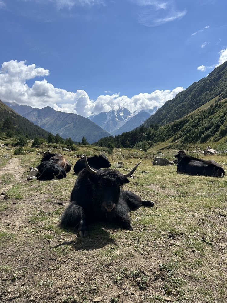 Photograph by Елена Власова