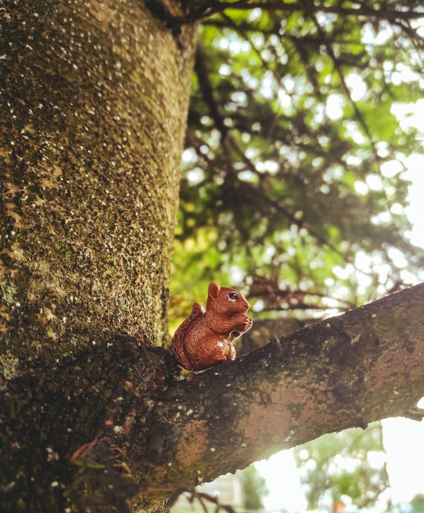 Photograph by Дарья