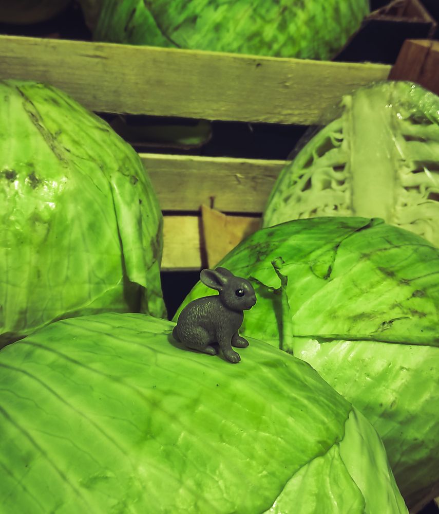 Photograph by Дарья