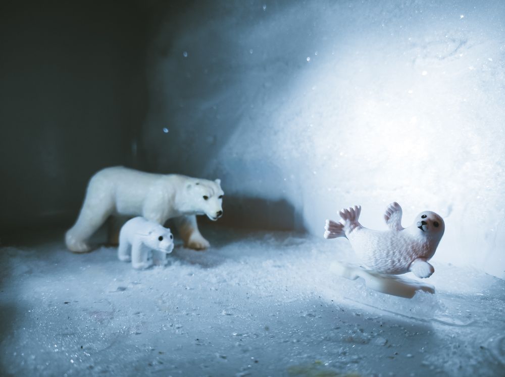 Photograph by Дарья