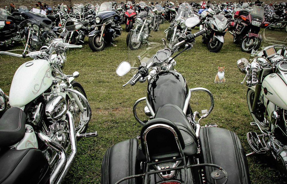 Photograph by Вячеслав Лычков