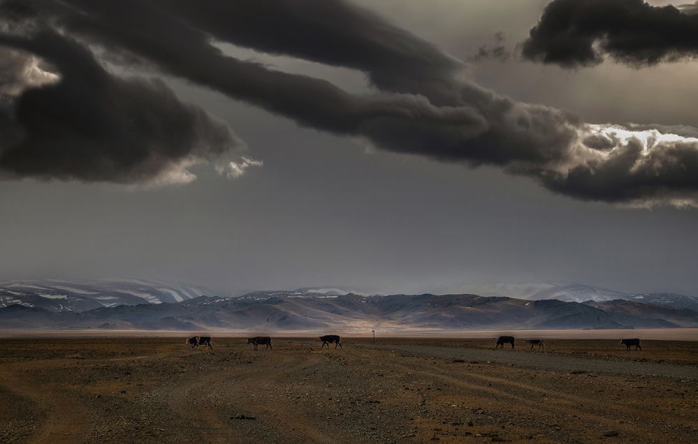 Photograph by Lora Pavlova