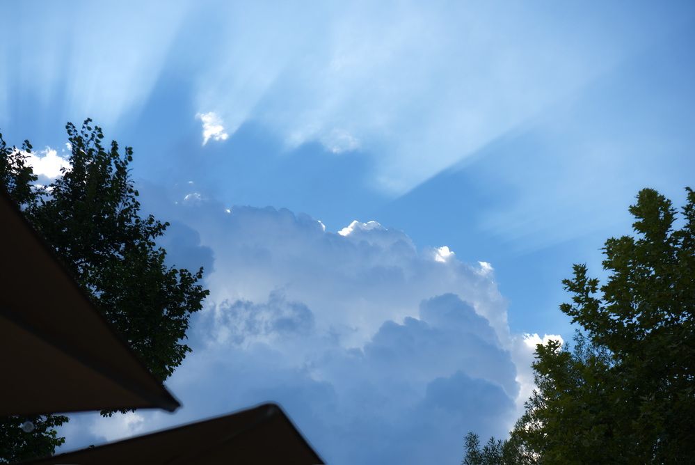 Фотография автора Андрей Неденко