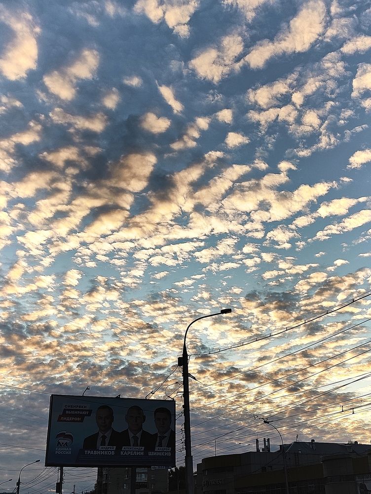 Photograph by Olena Chertous