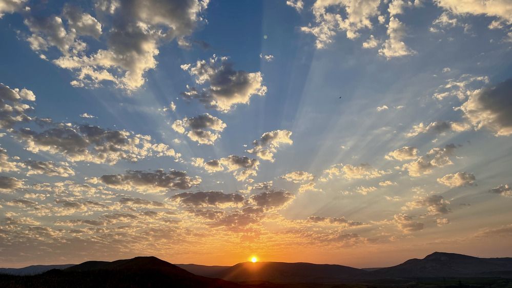 Photograph by Olga Zaretskaya