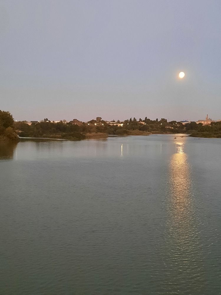 Photograph by Елена Валерьевна