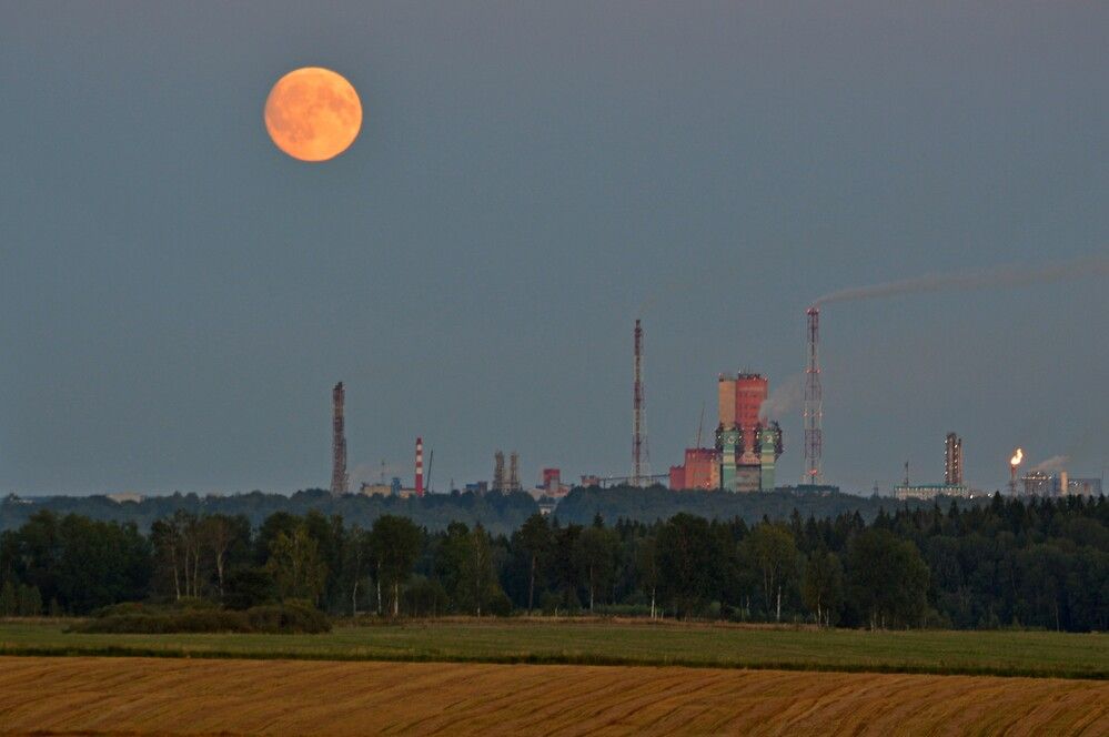 Фотография автора Елена Максимова