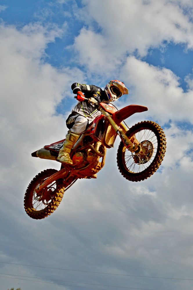 Фотография автора Елена Максимова