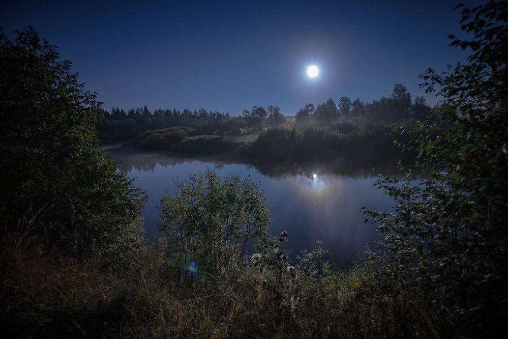 Лунный свет