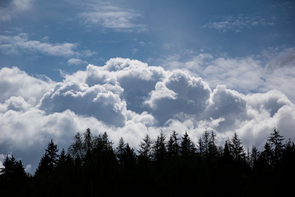 Photograph by Ирина Заворуева