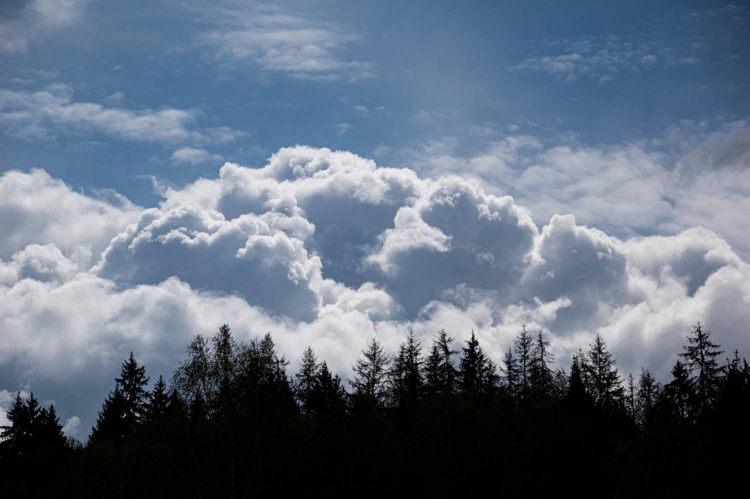 Photo #12550869