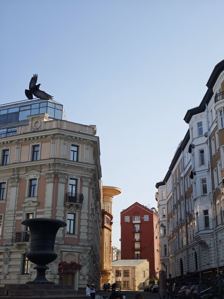 Photograph by Елена Шоколенко