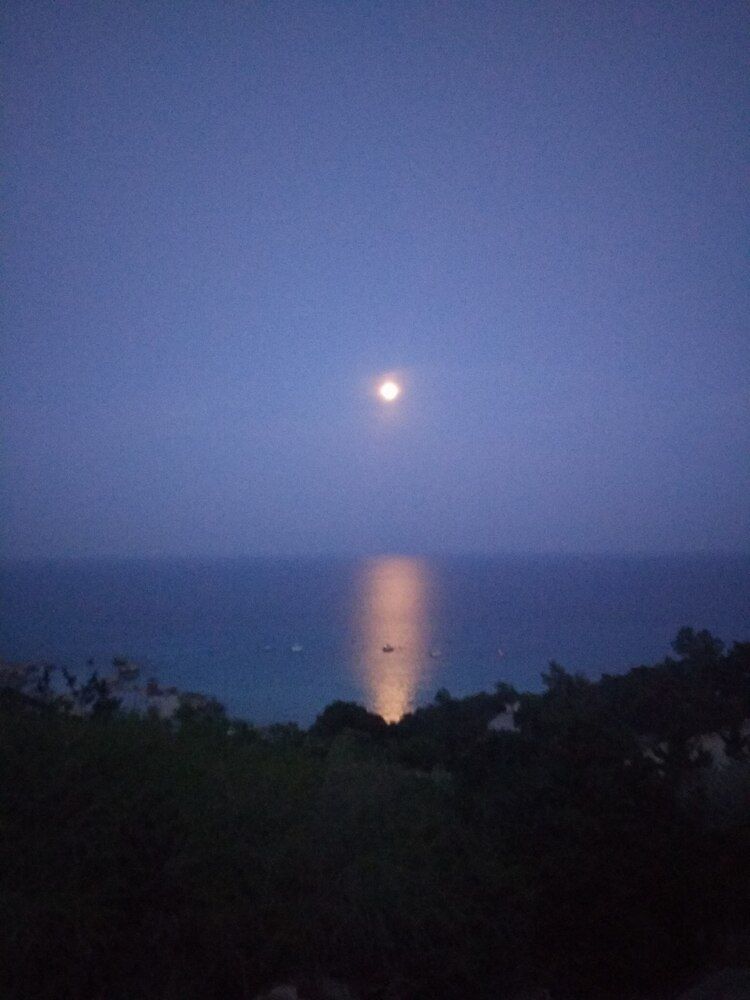 Photograph by Елена Шоколенко