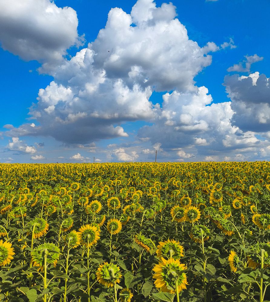 Photograph by Юрий Богачев