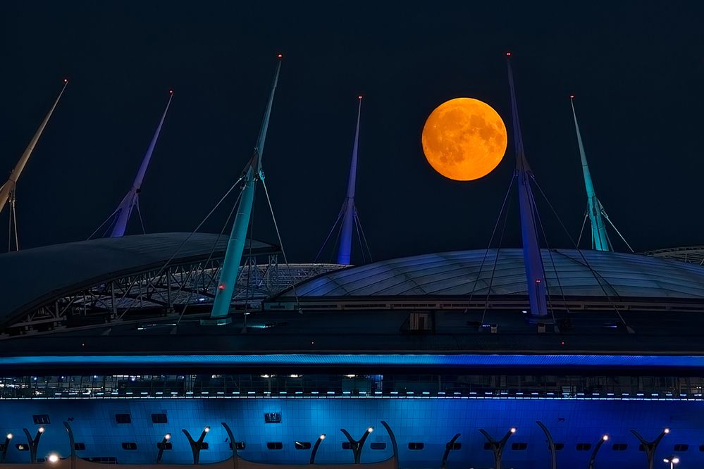 Photograph by Александр Селезнев