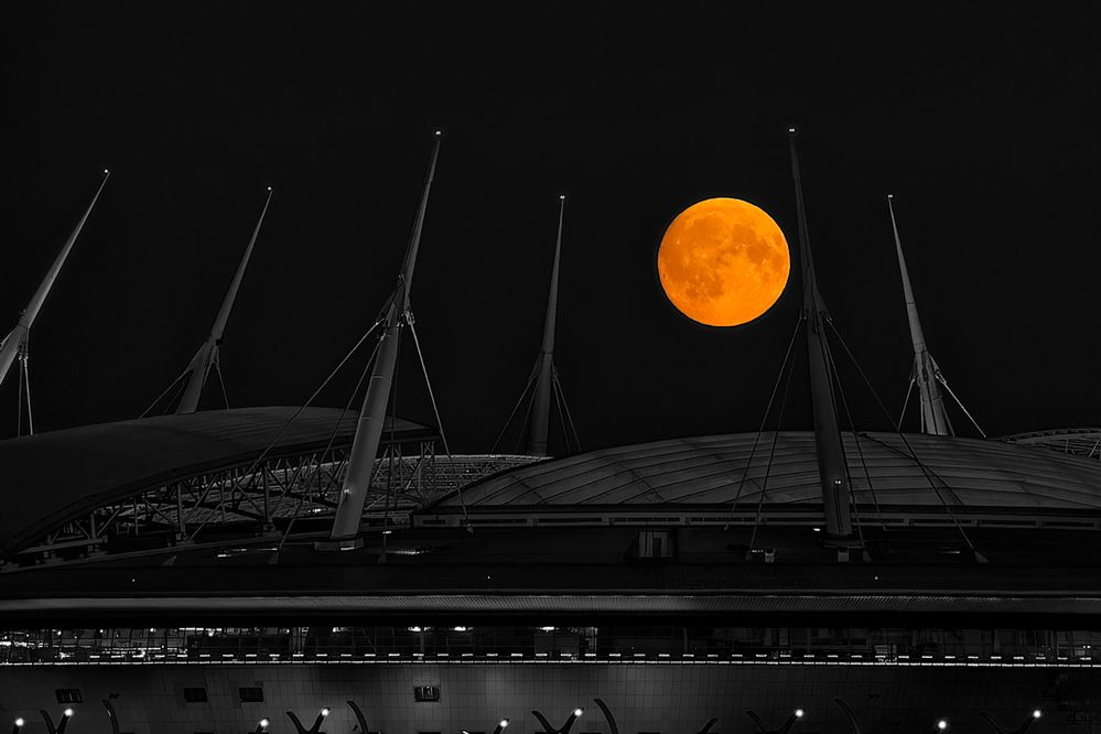 Photograph by Александр Селезнев