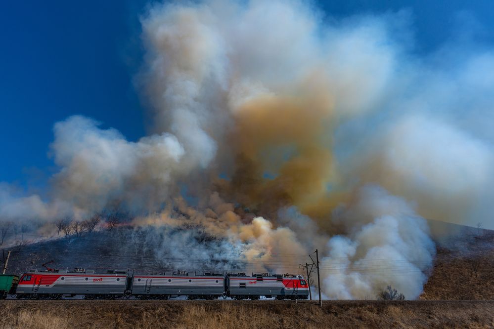 Photograph by Ольга Мусиенко
