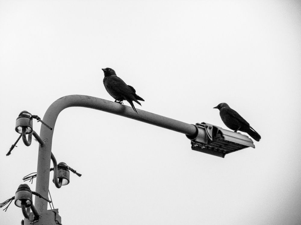 Фотография автора Anastasia