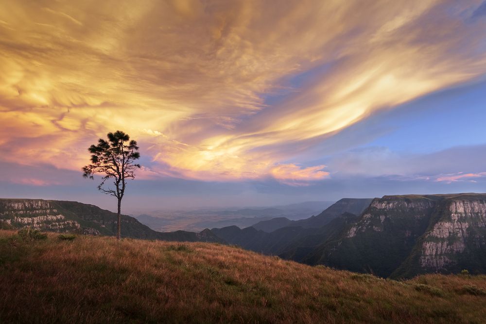 Photograph by Valdir Hobus