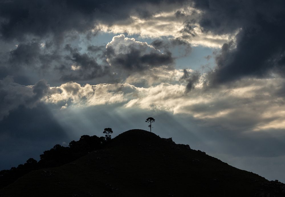 Photograph by Valdir Hobus