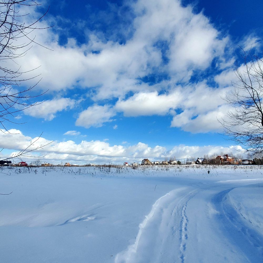 Photograph by Елена Беланенко